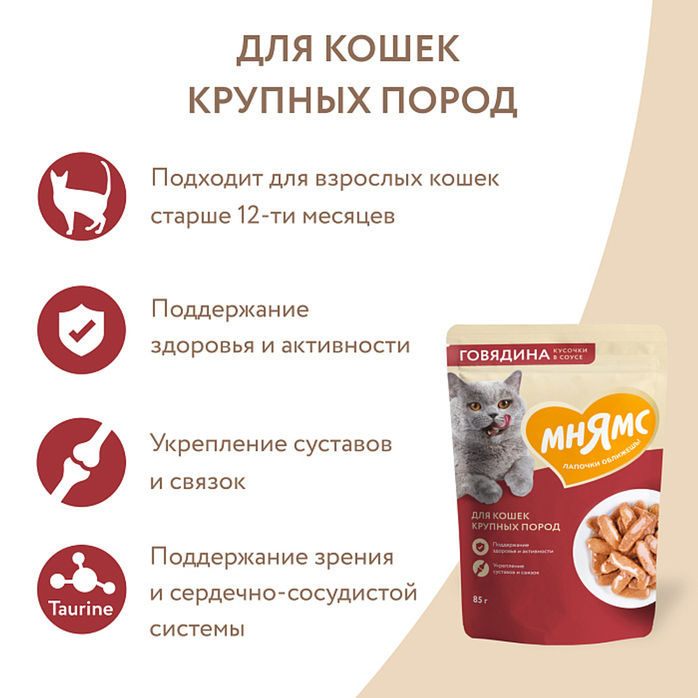 Влажный корм для крупных кошек на каждый день кусочки в соусе с говядиной Мнямс 85г 24 шт