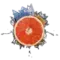 Crown Sapphire - Grapefruit