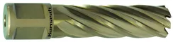 Корончатое сверло Karnasch 12х55 мм, GOLD-LINE, Nitto + Weldon 19, арт. 20.1270N-012