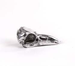 Статуэтка Wunderkammer Bird Skull