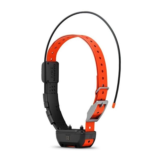 Ошейник Garmin Alpha TT25 (Европейская версия)