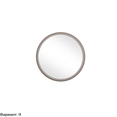 Зеркало D50 Pr042A