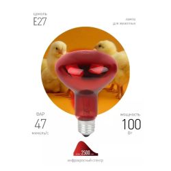Термоизлучатель инфракрасный зеркальный ЭРА ИКЗК 230-100 R95 E27 для курятника цыплят птиц животных/для обогрева 2 шт | Инфракрасные лампы