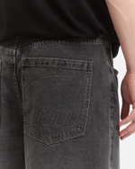 Шорты Anteater BaggyShorts Серый