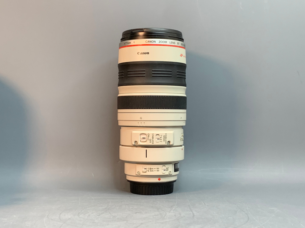 Canon EF 100-400mm 4.5-5.6L IS