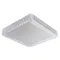 Потолочный светильник Celeste A1571PL-1CL Arte Lamp