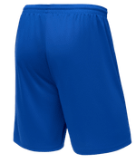 Шорты баскетбольные Camp Basic, синий