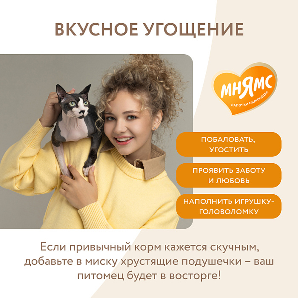 Лакомство для кошек Мнямс "Здоровье и активность" хрустящие подушечки с курицей 60 гр - 10 шт