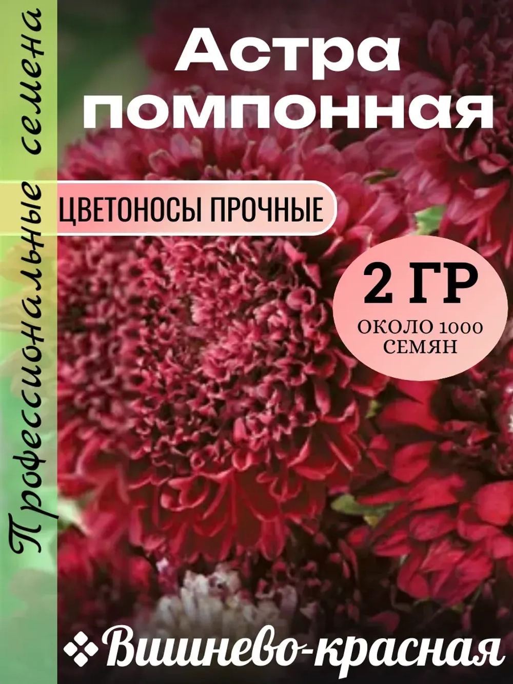 Семена Астра помпонная Вишнево-красная 2 грамма