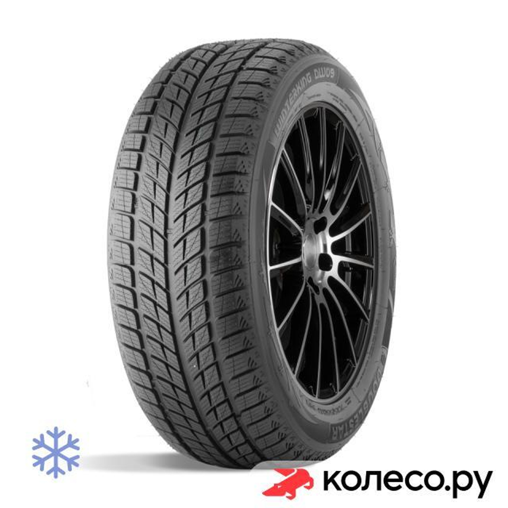 Winterking DW09 225/45 R18 95T