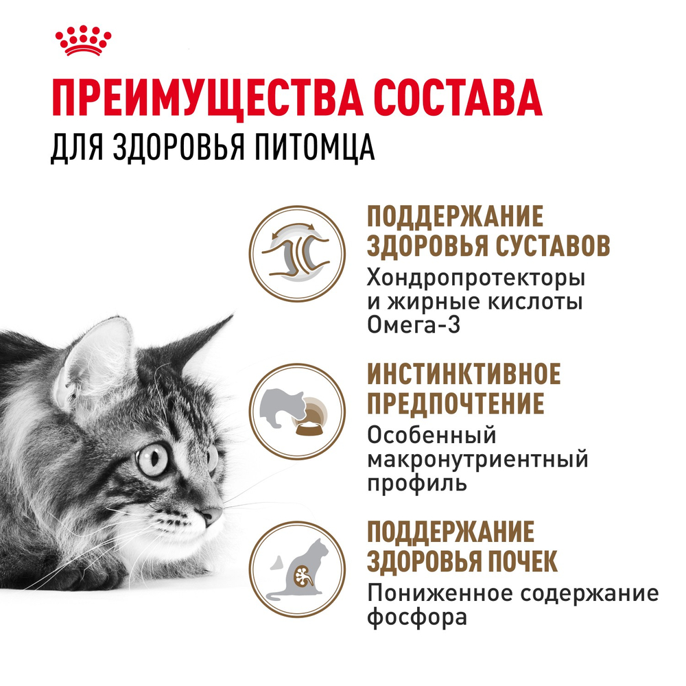 Royal Canin Ageing 12+ Эйджинг Корм влажный для взрослых кошек в возрасте старше 12 лет соус 85г