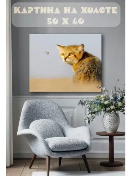 Картина на стену 40 X 50 Барханная кошка
