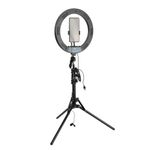 Светодиодный осветитель Falcon Eyes BloggerKit 20 mic