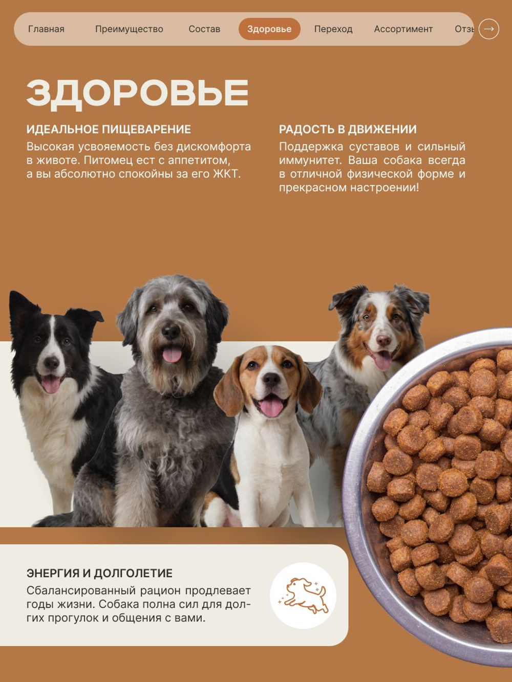 Корм сухой для пожилых собак породы Мопс старше 7 лет, с индейкой, 3 кг, QUATTRO