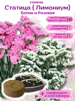 Статица Белая и Розовая, Лимониум, набор семян + торфяной грунт в подарок, 20 шт