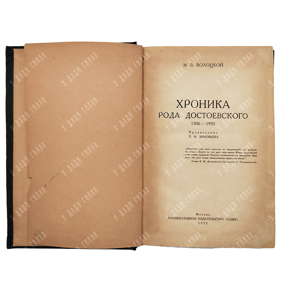 Волоцкой М. В. Хроника рода Достоевского : 1506-1933 /  пред. П. М. Зиновьева. - М. Север , 1933.