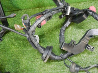 DSCN7149.jpg