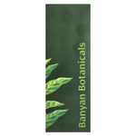 Banyan Botanicals, Daily Swish™, со вкусом корицы, 236 мл (8 жидк. унций)