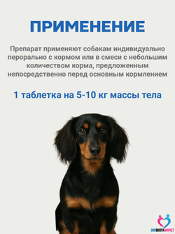 Бикардил 10 мг/80 мг для лечения сердечной недостаточности для собак 20-40 кг, 30 таблеток