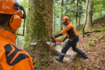 Бензопила STIHL MS 881 75см 0.404' 1,6мм 91 зв.
