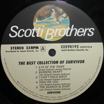 Survivor / The Best Collection Of Survivor (LP)
