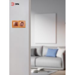 12-5002-09 ЭРА Рамка на 2 поста, Эра12, дуб | Эра 12