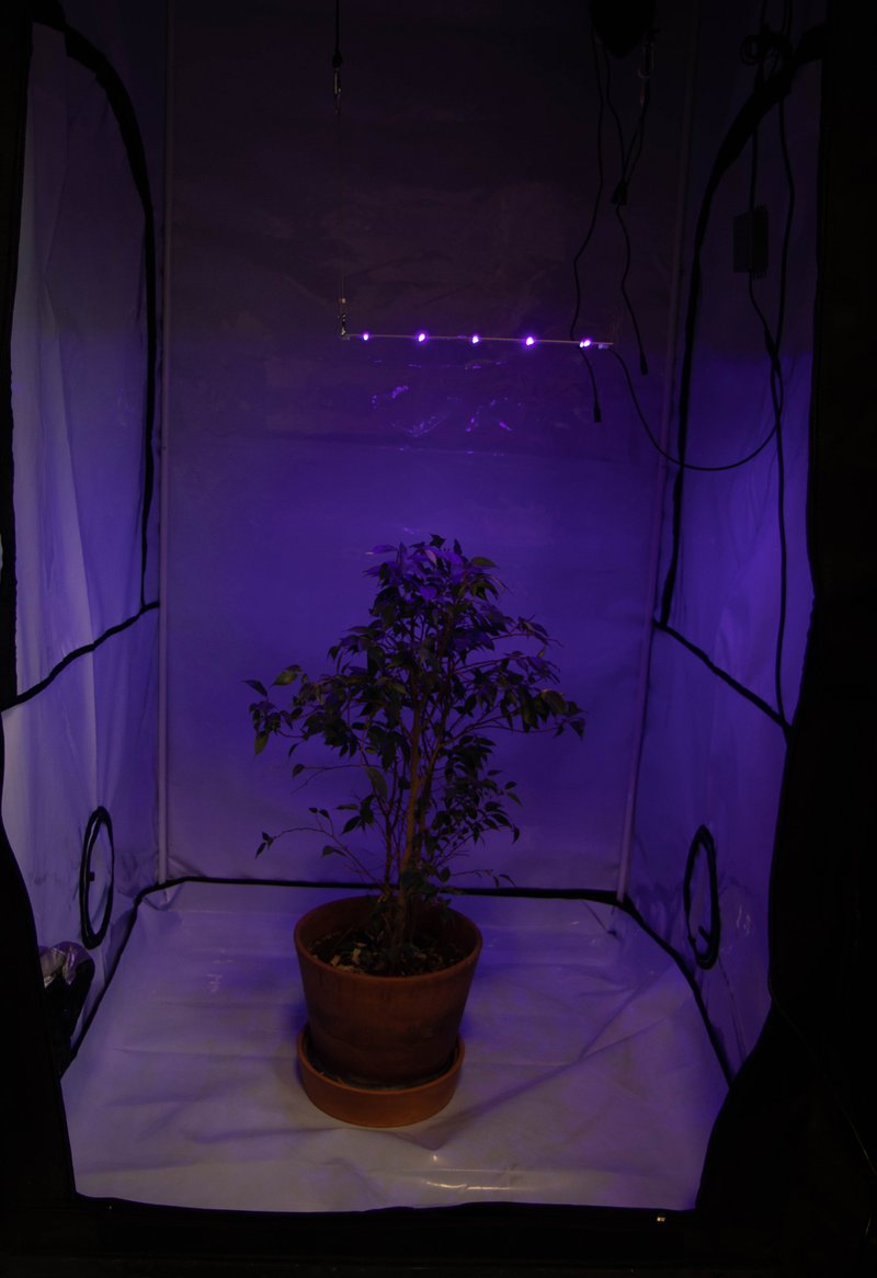 УФ фитолампа для растений LED Booster Line UV 365-385-395-405 nm, 20W