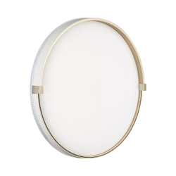 7646/DLN PALE SN 189 Светильник пластик/белый/золотой LED 48Вт 3000/4000/6000К D390 IP43 CCT OLIDI WHITE