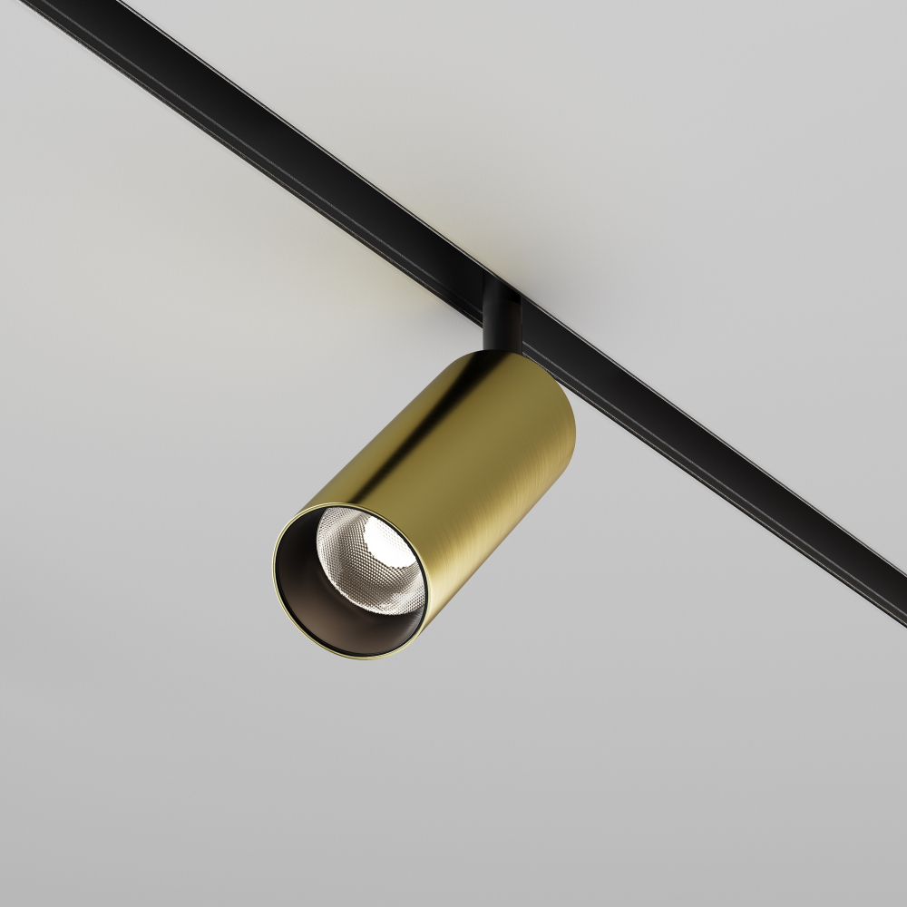 Магнитный трековый светильник Maytoni Focus LED TR032-2-12W4K-M-BBS