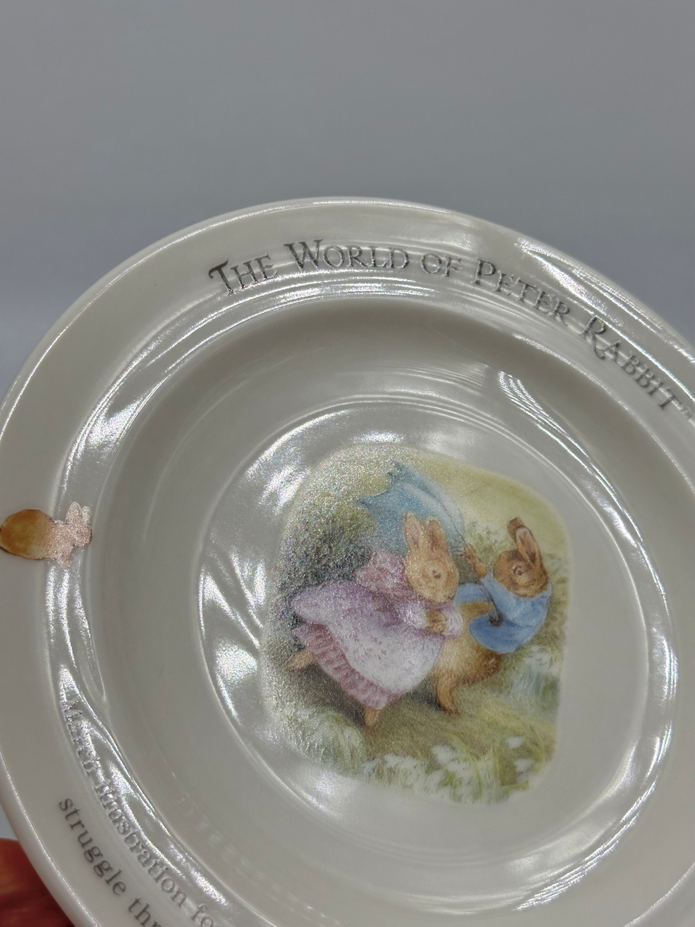 Тарелка 16,5см Peter Rabbit, F. W & Co.