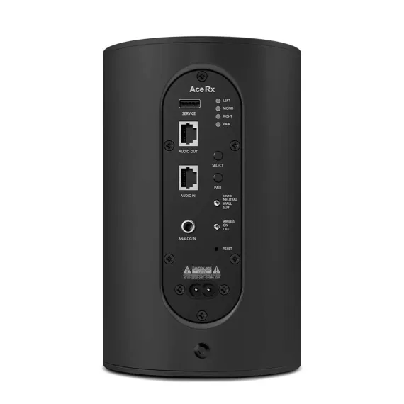 Piega Ace 30 Wireless RX Black