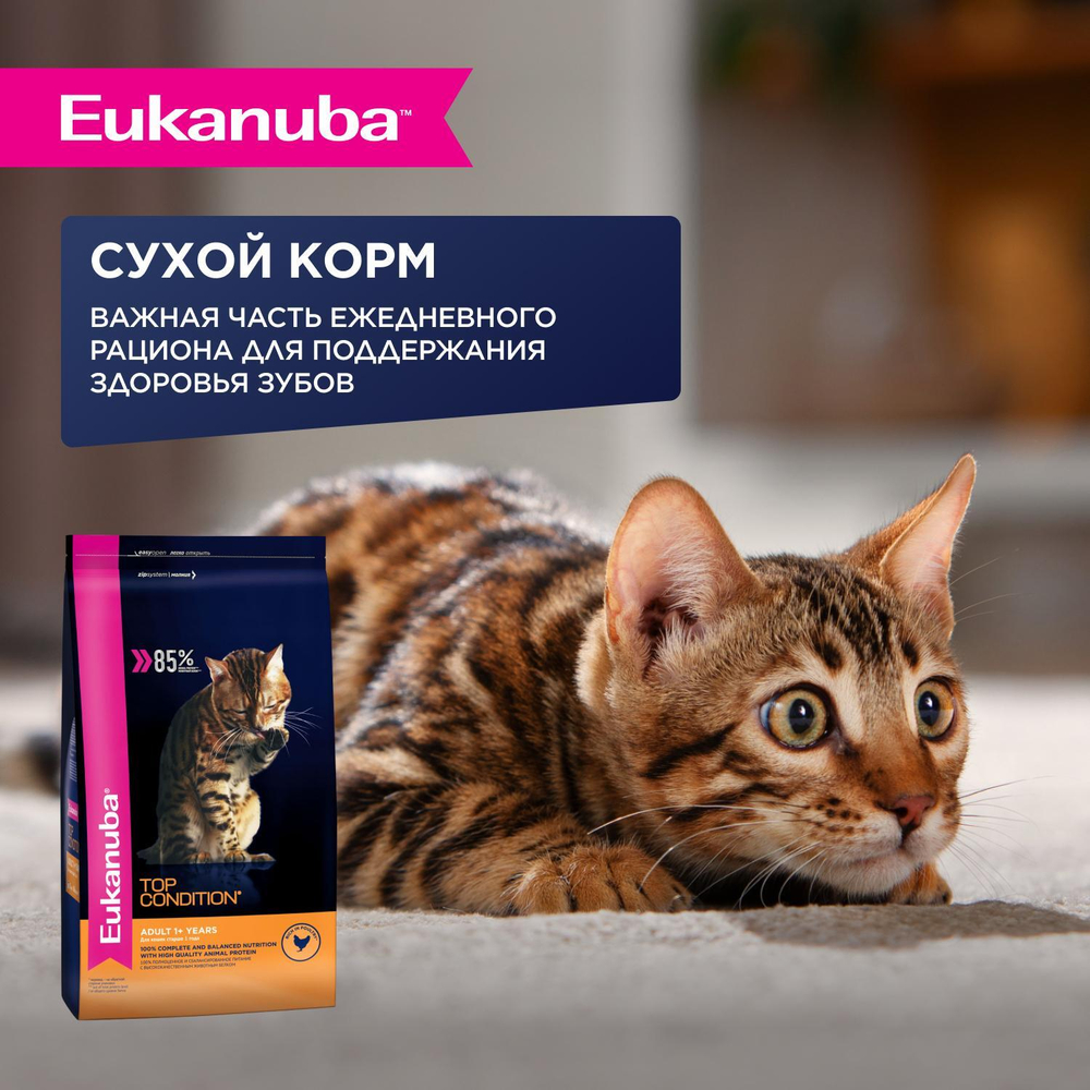 Eukanuba Adult Top Condition влажный рацион с кроликом в соусе для взрослых кошек 85г