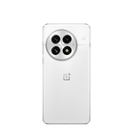 OnePlus 13 16/512Gb Arctic Dawn