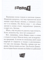 Гость из белого камня