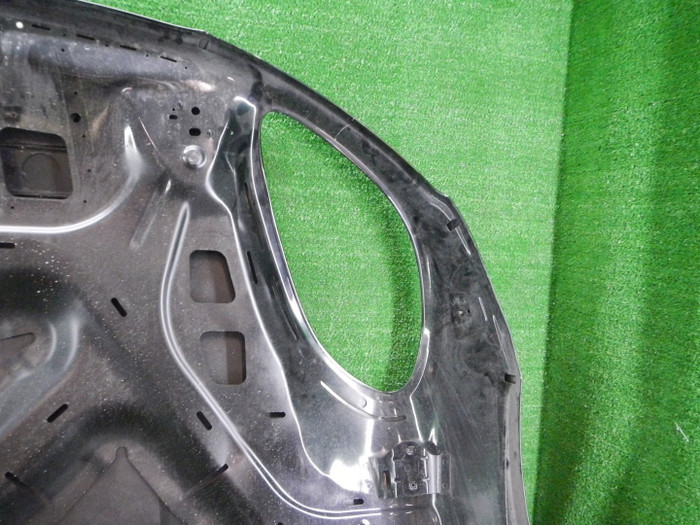 DSCN9654.JPG