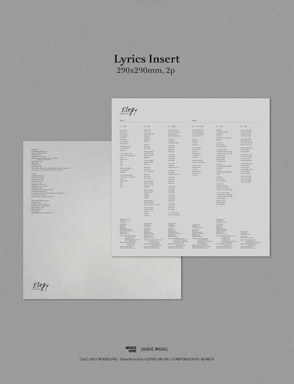 Альбом HA HYUNSANG - ELEGY REMASTERED LP
