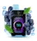 ELF BAR RAYA D2 - Blueberry Ice (5% nic)