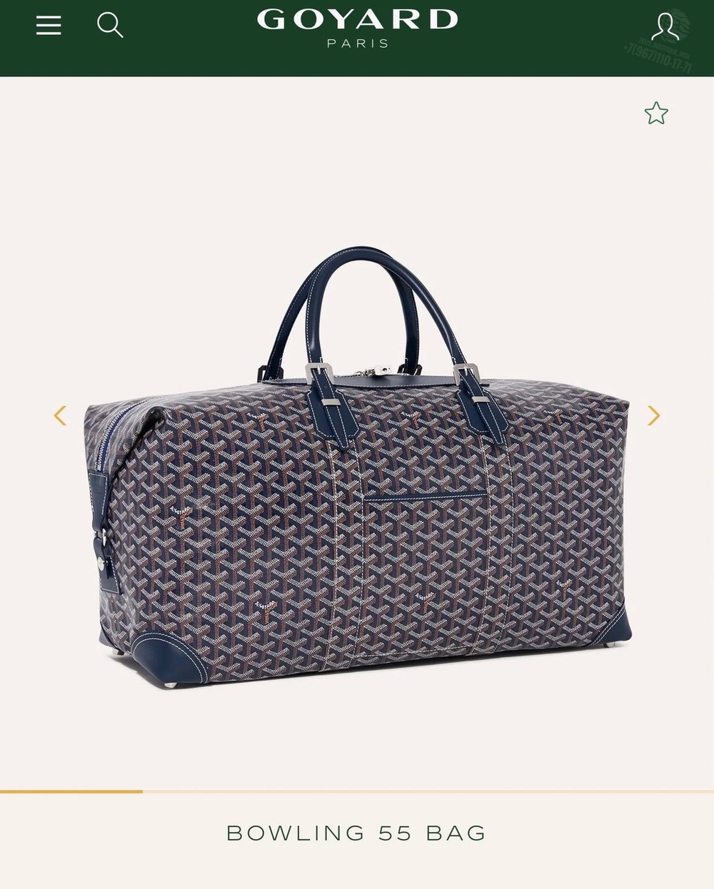 Дорожная сумка Goyard