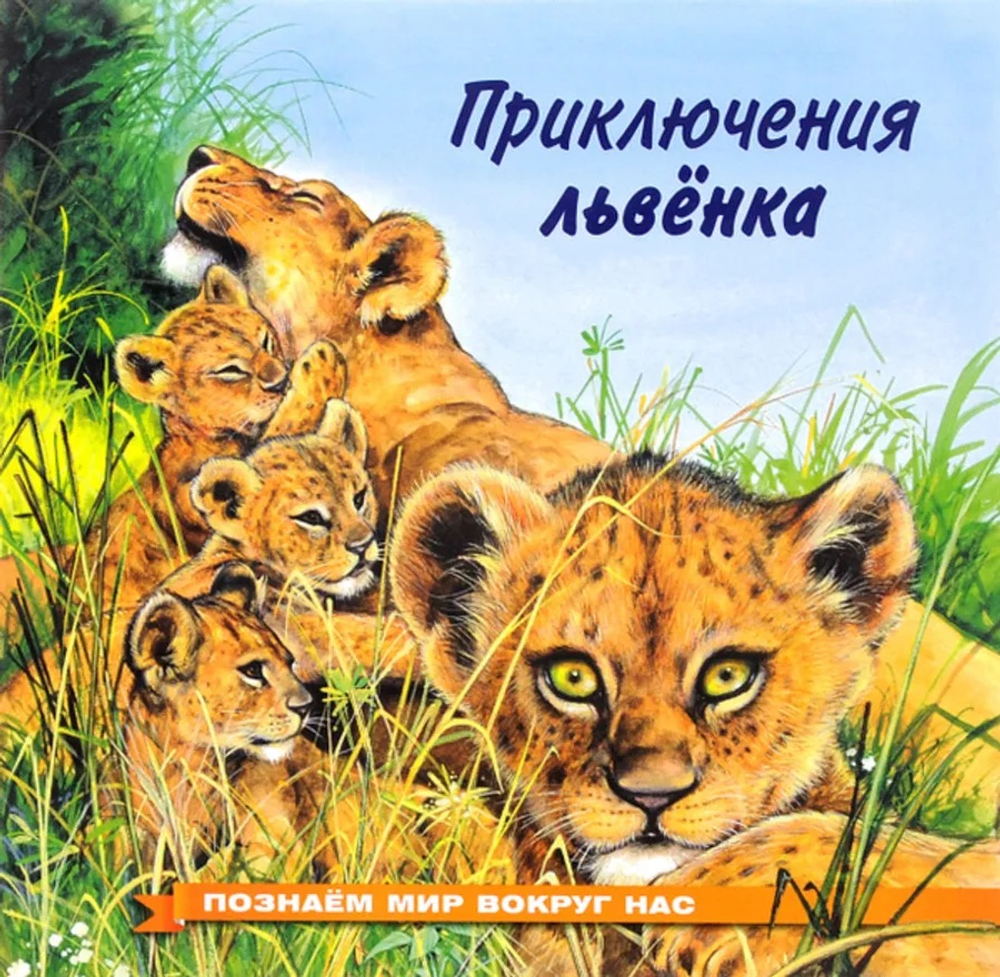 ПМВН. Приключения львенка, изд.: Фламинго, авт.: Гурина И.В., серия.: Серия "Познаем мир вокруг нас"   Формат: 21х21 см; 16 цв. стр. + обл.