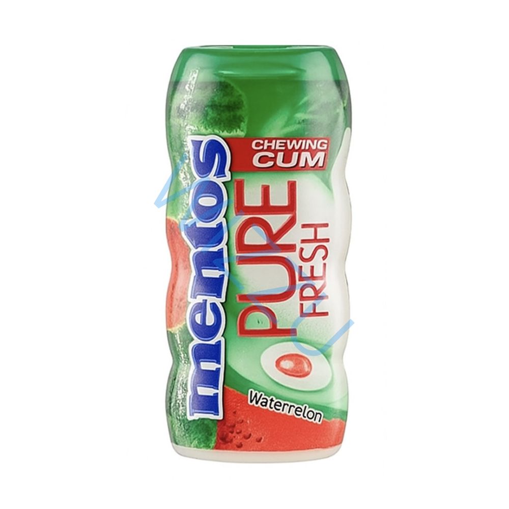 Жевательная резинка Mentos Gum Wintergreen Винтергрин, 30 г