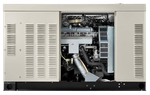 Газовый генератор Generac RG027