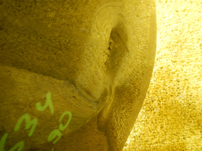 DSCN9036.JPG