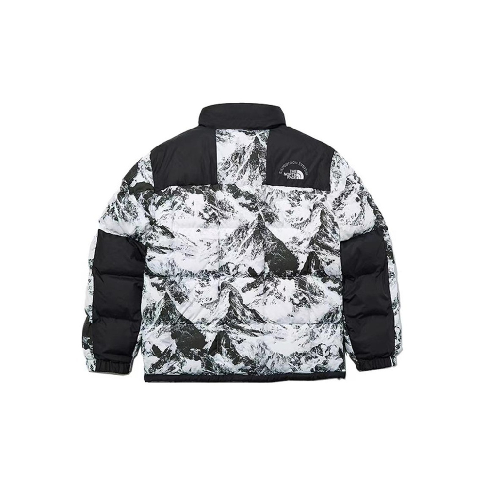 Куртка The North Face Jacket, NJ1DN57A