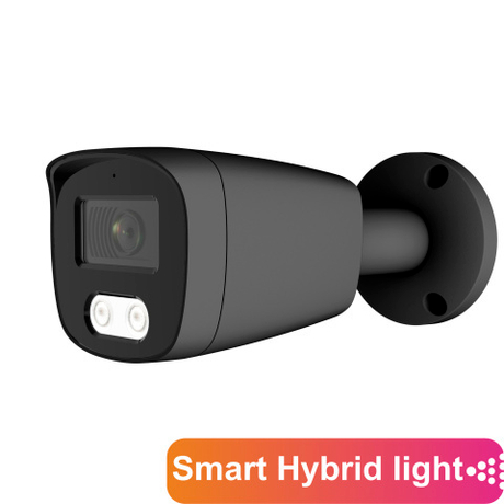 AltCam ICF51IR(RU)(b)