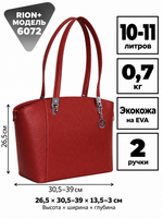 RION+ 6072BRD — инфографика