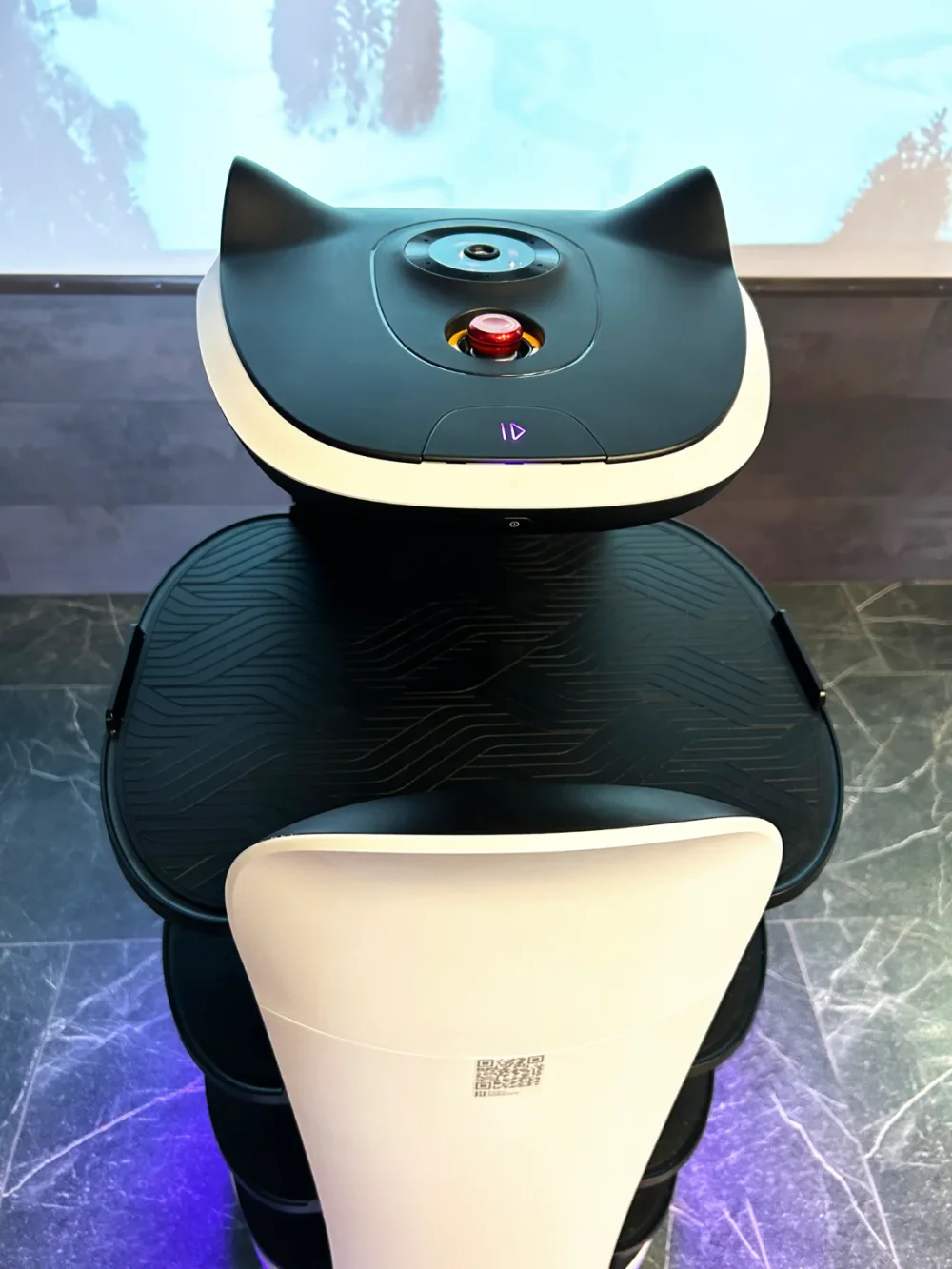 Робот официант PUDU «BellaBot»