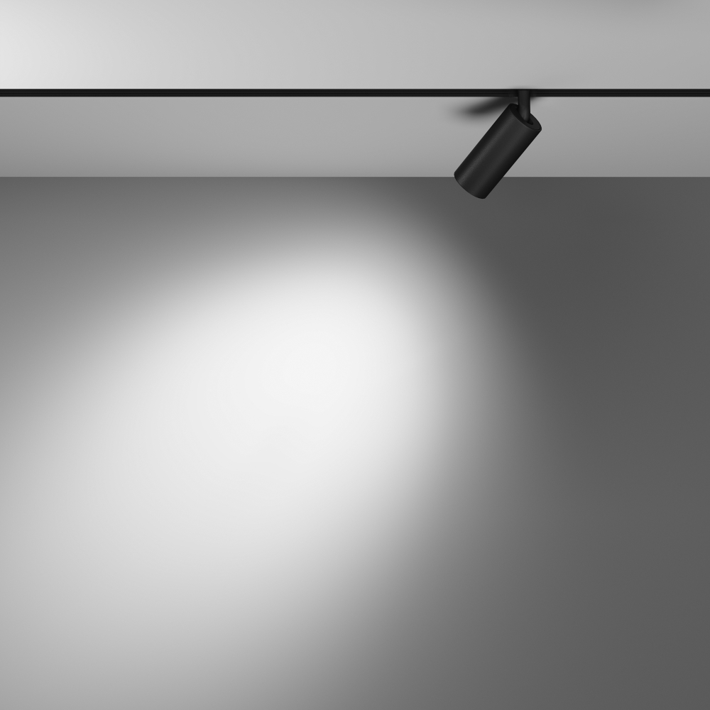 Магнитный трековый светильник Maytoni Focus LED TR032-2-5W4K-M-B