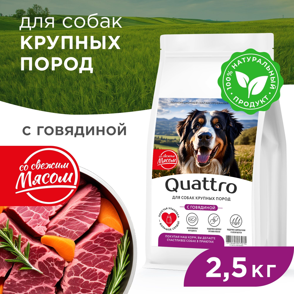 Корм сухой для взрослых собак крупных пород, премиум полнорационный сбалансированный, с говядиной, 2,5 кг, QUATTRO