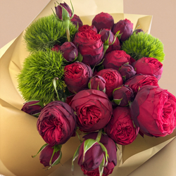 Розы Red piano с Барбатус Киви Меллоу. Burgundy Gold Premium
