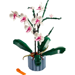 Конструктор LEGO Botanicals 10311 Орхидея
